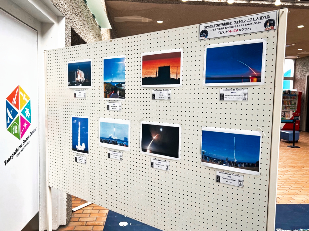 展示2