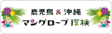 マングローブ探検