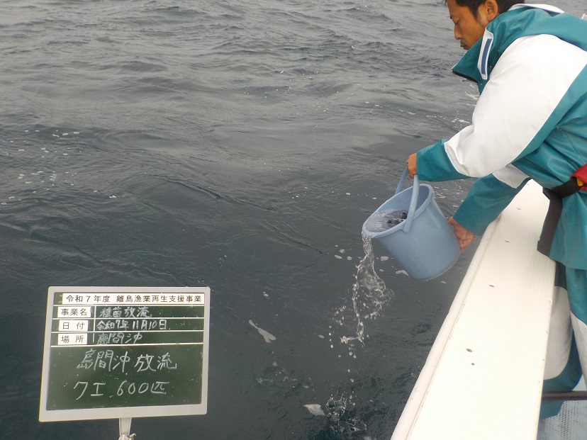 種苗放流①
